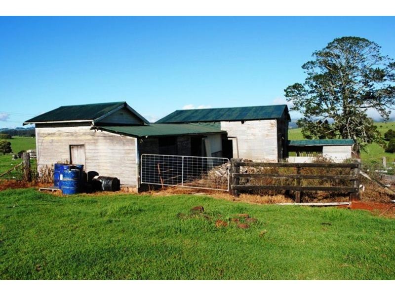 543 Old Coast Road, Dorrigo NSW 2453