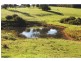 543 Old Coast Road, Dorrigo NSW 2453