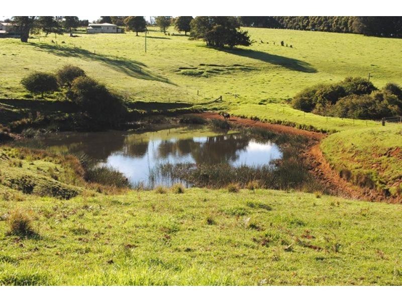 543 Old Coast Road, Dorrigo NSW 2453
