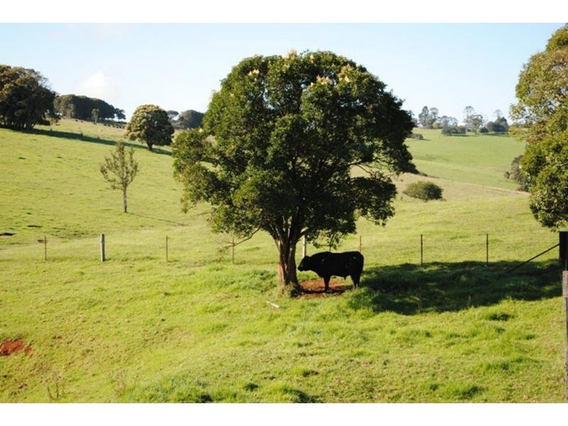 543 Old Coast Road, Dorrigo NSW 2453