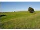 543 Old Coast Road, Dorrigo NSW 2453