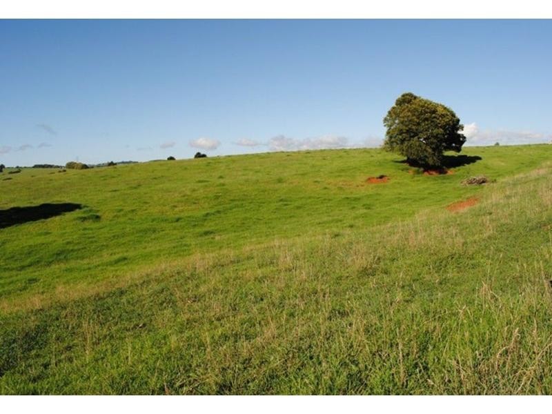 543 Old Coast Road, Dorrigo NSW 2453