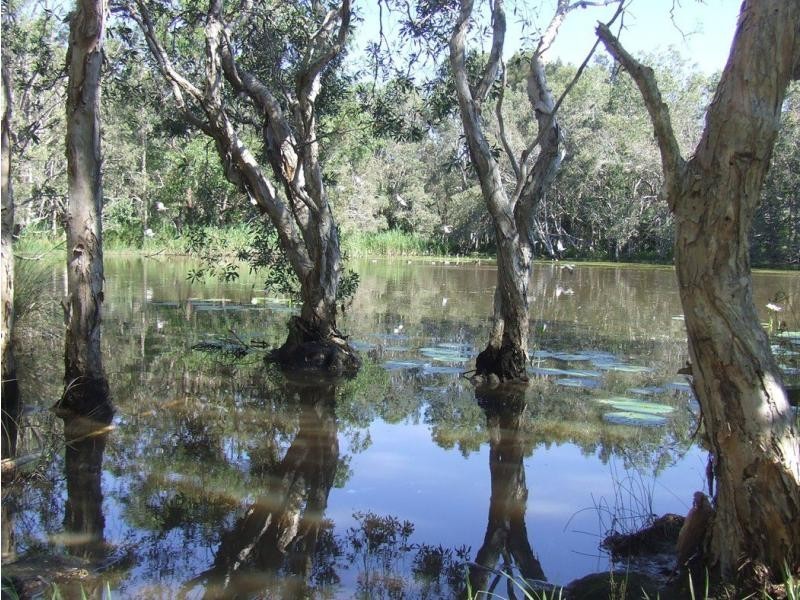 13 Hearnes Lake Road, Woolgoolga NSW 2456