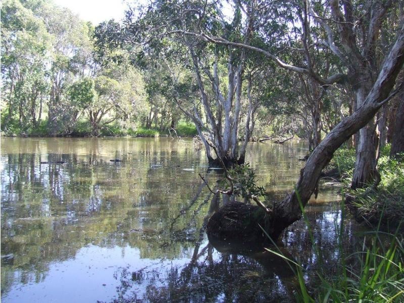 13 Hearnes Lake Road, Woolgoolga NSW 2456