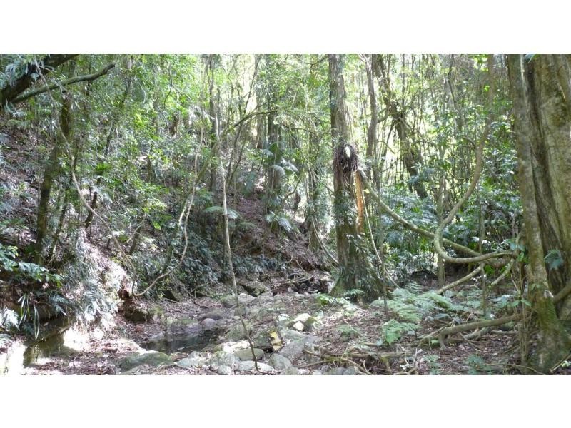 L53 Bellbird Road, Thumb Creek NSW 2447