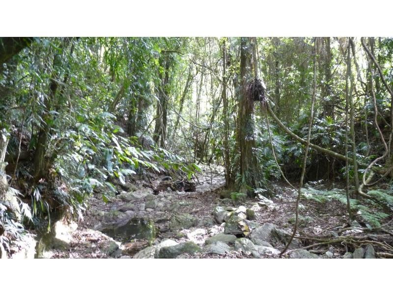 L53 Bellbird Road, Thumb Creek NSW 2447