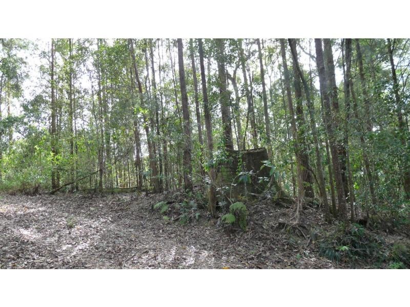 L53 Bellbird Road, Thumb Creek NSW 2447