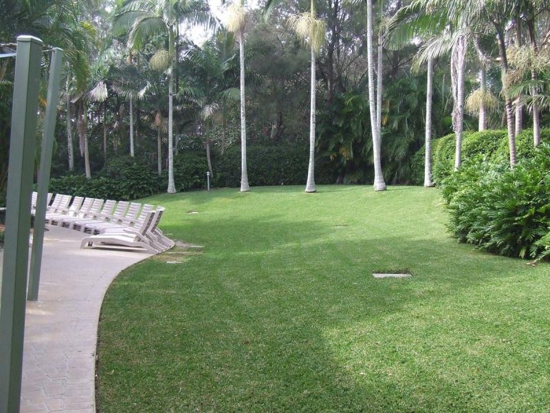 106/106A Firman Drive, Coffs Harbour NSW 2450