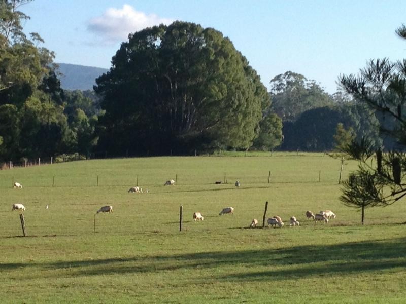 265 Mardells Road, Bucca NSW 2450