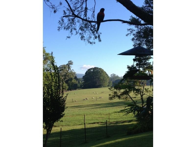 265 Mardells Road, Bucca NSW 2450