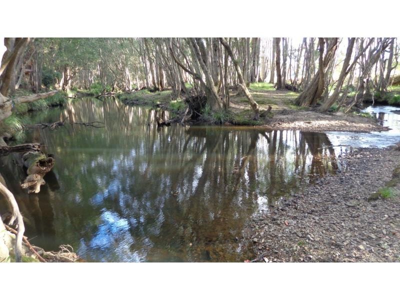 265 Mardells Road, Bucca NSW 2450