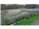 L1 Graham Drive, Sandy Beach NSW 2456