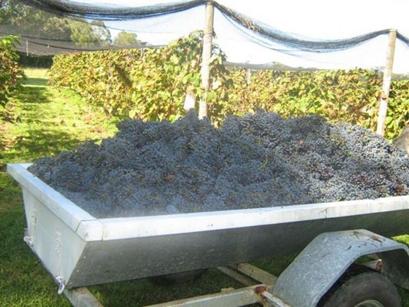 963 Orara Way, Nana Glen NSW 2450