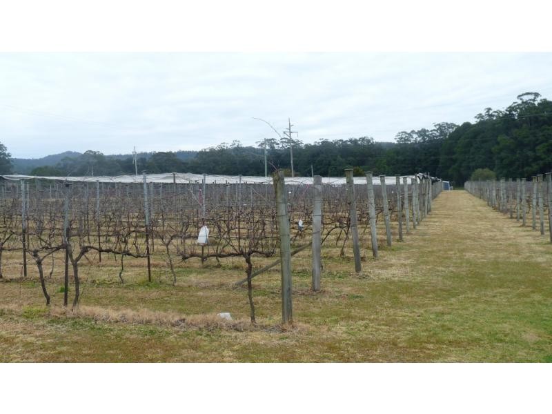 963 Orara Way, Nana Glen NSW 2450