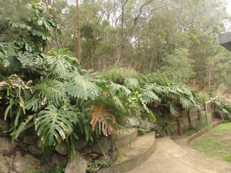 32 Bankside Street, Nathan QLD 4111