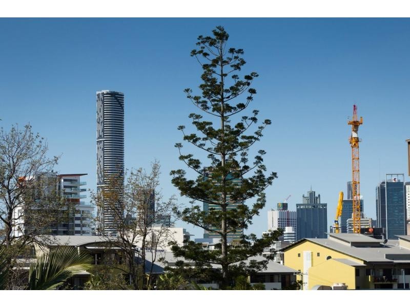 9/39a Jane Street, West End QLD 4101