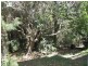 187 Gladstone Road, Highgate Hill QLD 4101