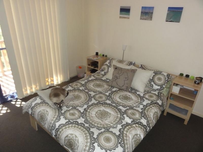 10 Rolle Street, Holland Park QLD 4121