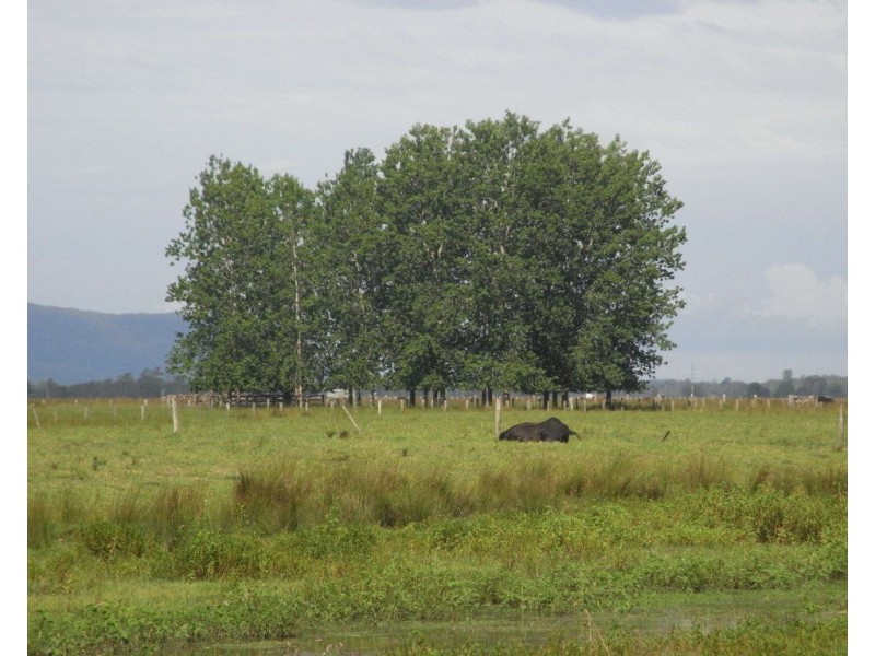 Bellimbopinni NSW 2440