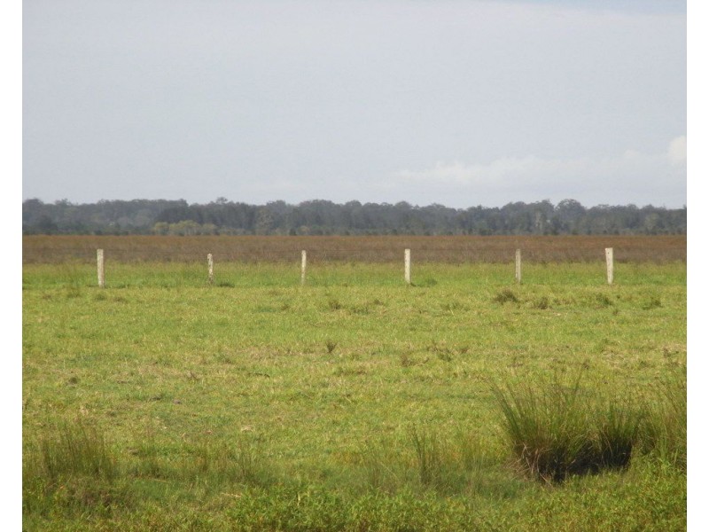 Bellimbopinni NSW 2440