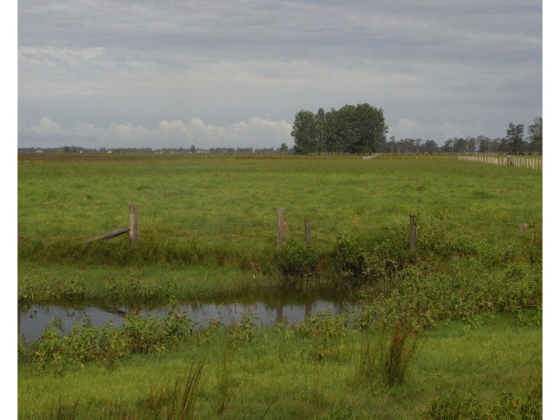 Bellimbopinni NSW 2440