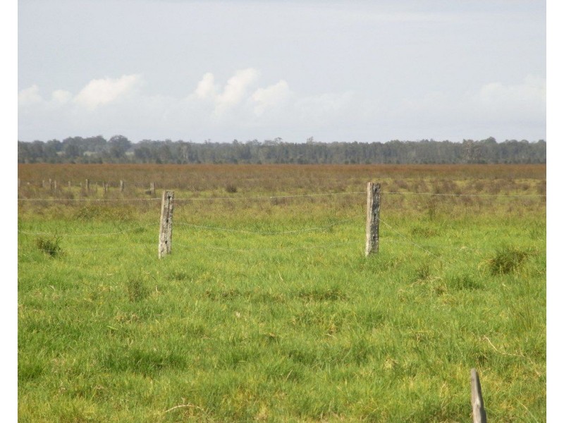 Bellimbopinni NSW 2440