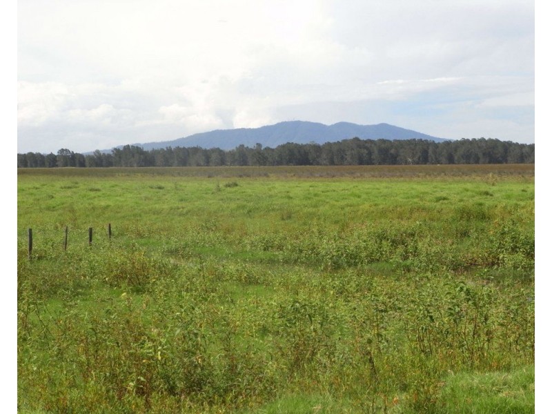 Bellimbopinni NSW 2440