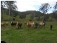 Comara NSW 2440