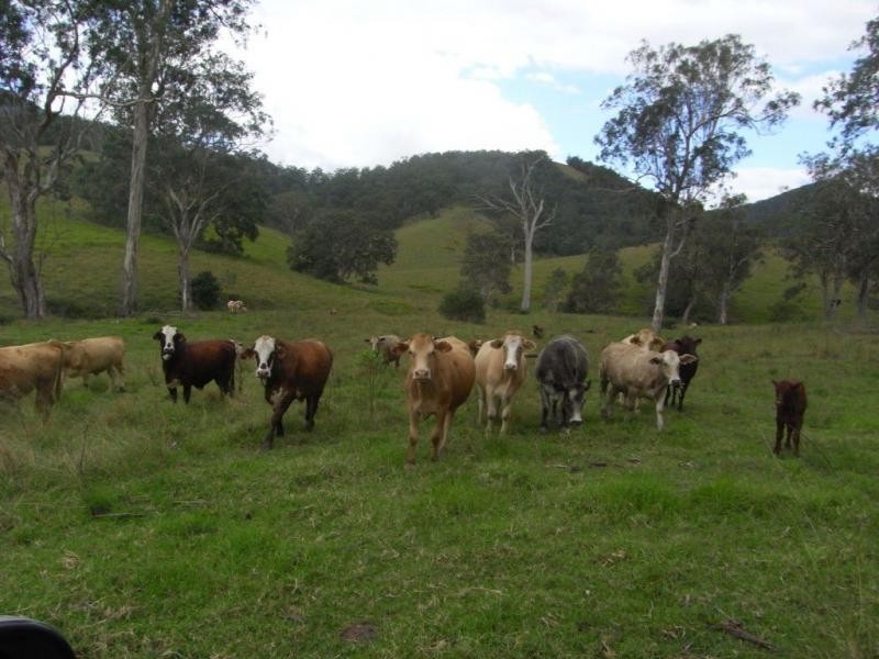 Comara NSW 2440
