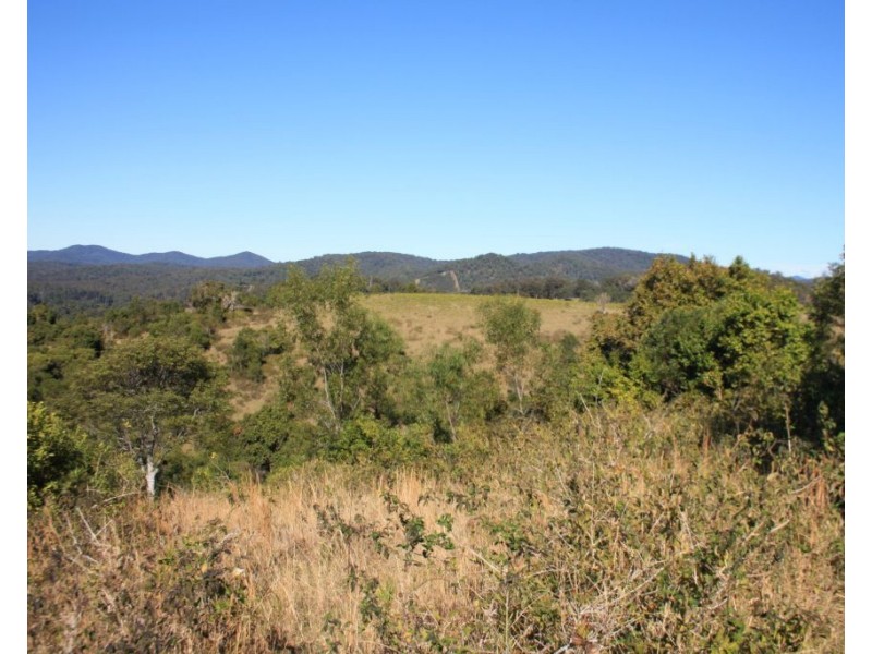 Dondingalong NSW 2440