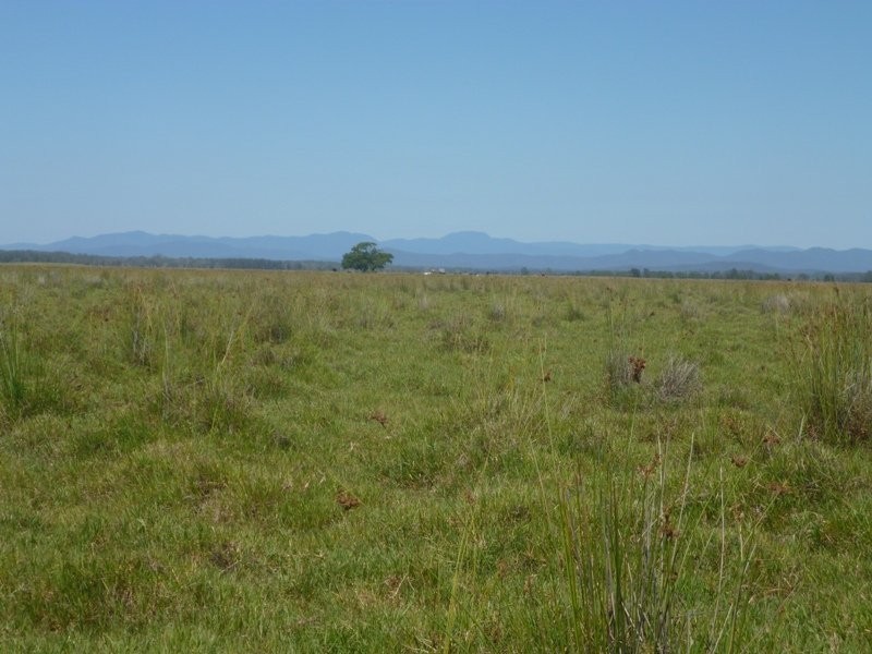 Bellimbopinni NSW 2440