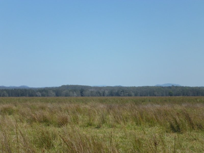 Bellimbopinni NSW 2440