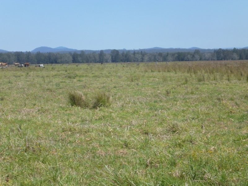 Bellimbopinni NSW 2440