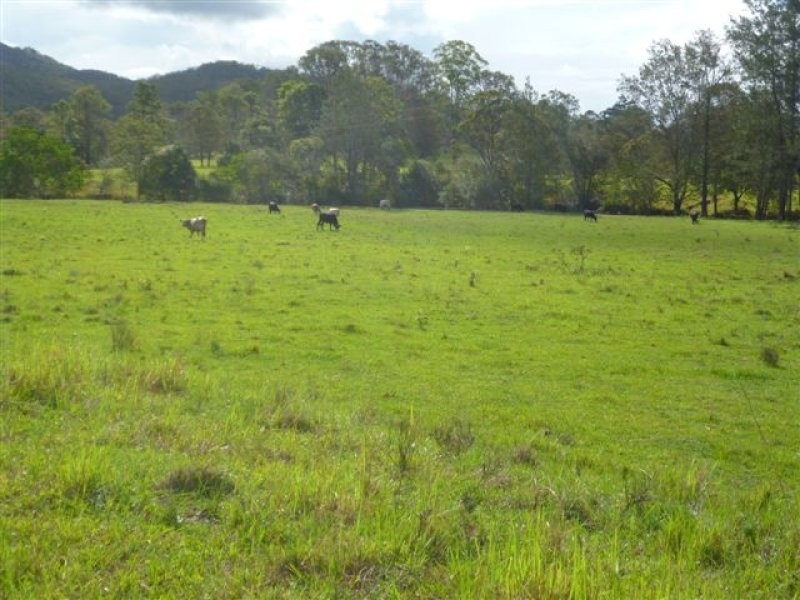 435 Willi Willi Road, Turners Flat NSW 2440