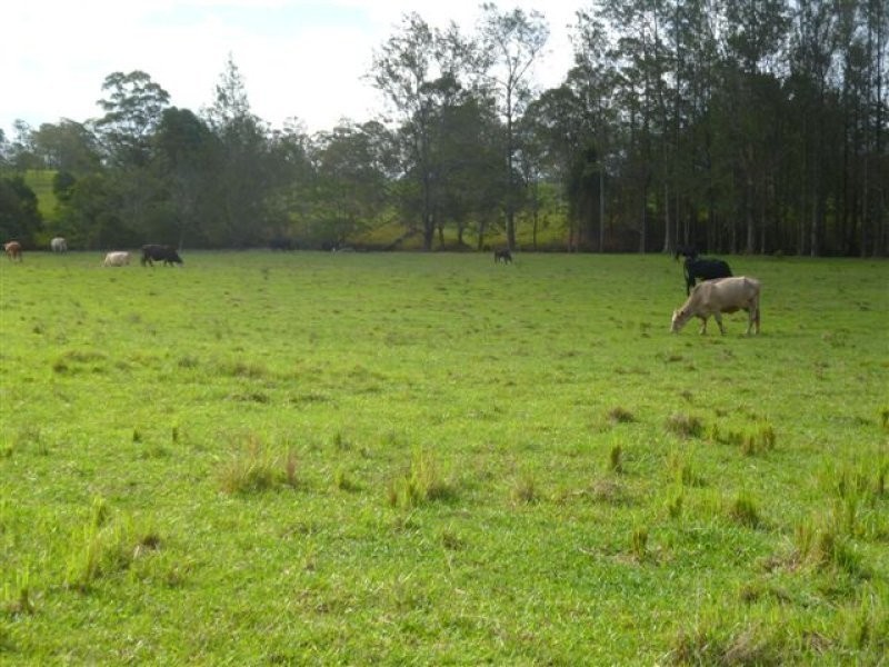 435 Willi Willi Road, Turners Flat NSW 2440