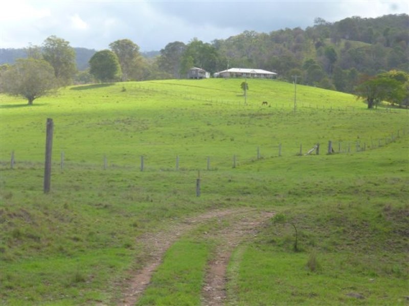 435 Willi Willi Road, Turners Flat NSW 2440