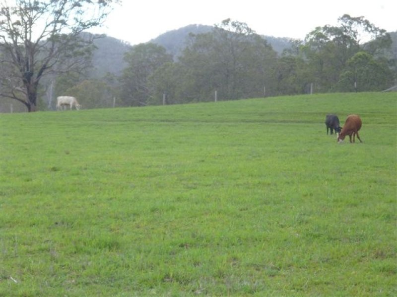 435 Willi Willi Road, Turners Flat NSW 2440