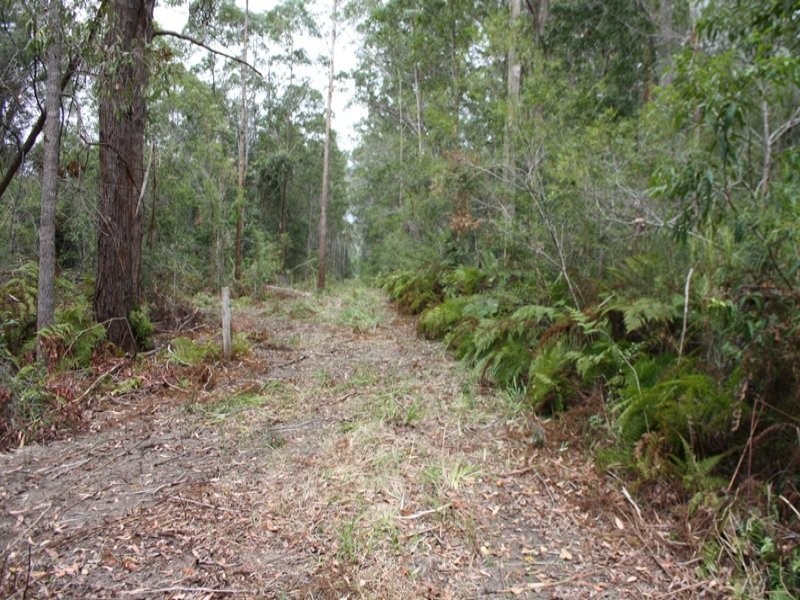 Yarrahapinni NSW 2441