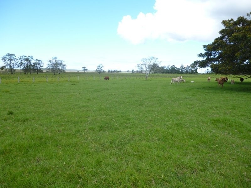 Kinchela NSW 2440
