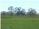 Kinchela NSW 2440