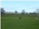 Kinchela NSW 2440
