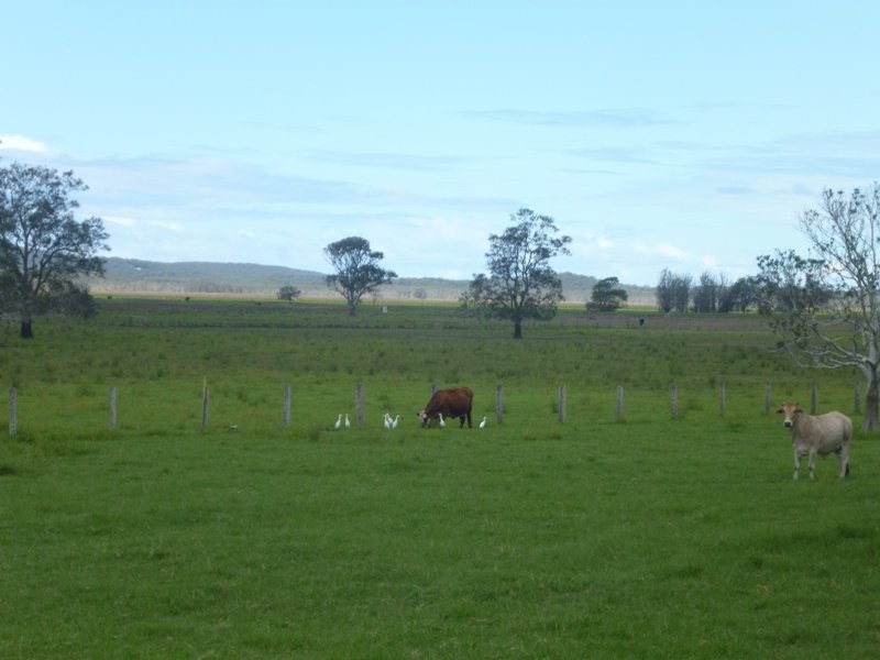 Kinchela NSW 2440