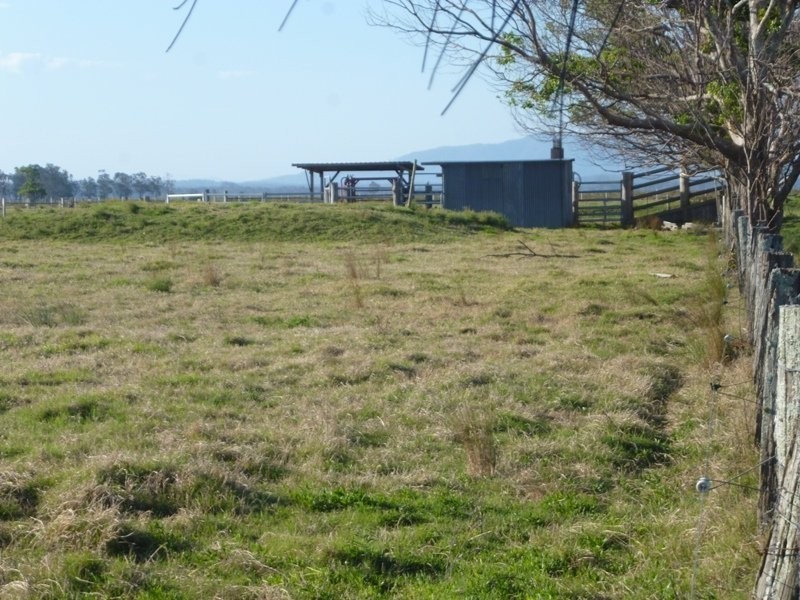 Bellimbopinni NSW 2440