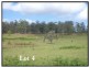 Collombatti NSW 2440