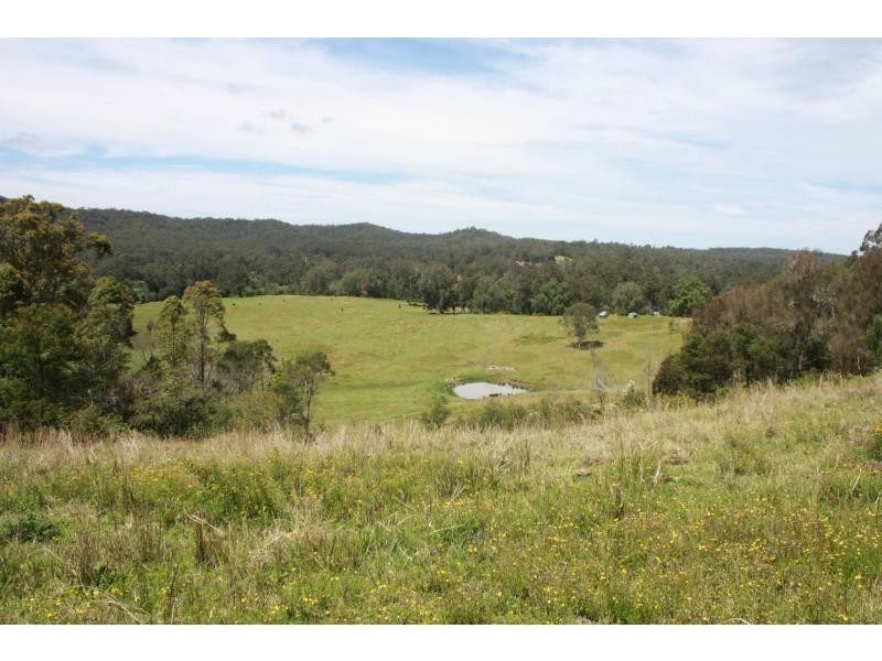 Mungay Creek NSW 2440