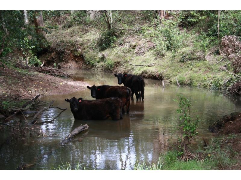 Mungay Creek NSW 2440
