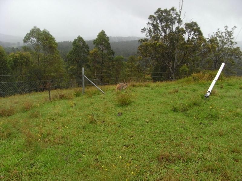 Mungay Creek NSW 2440