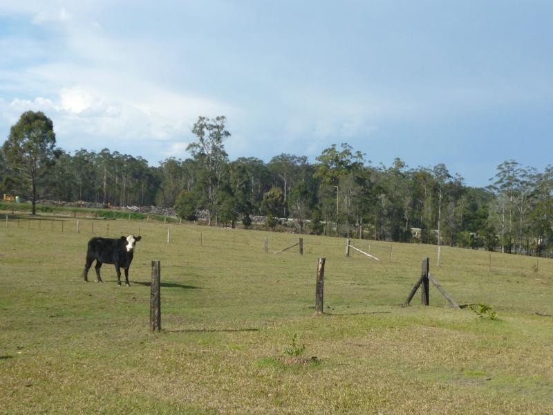 Clybucca NSW 2440