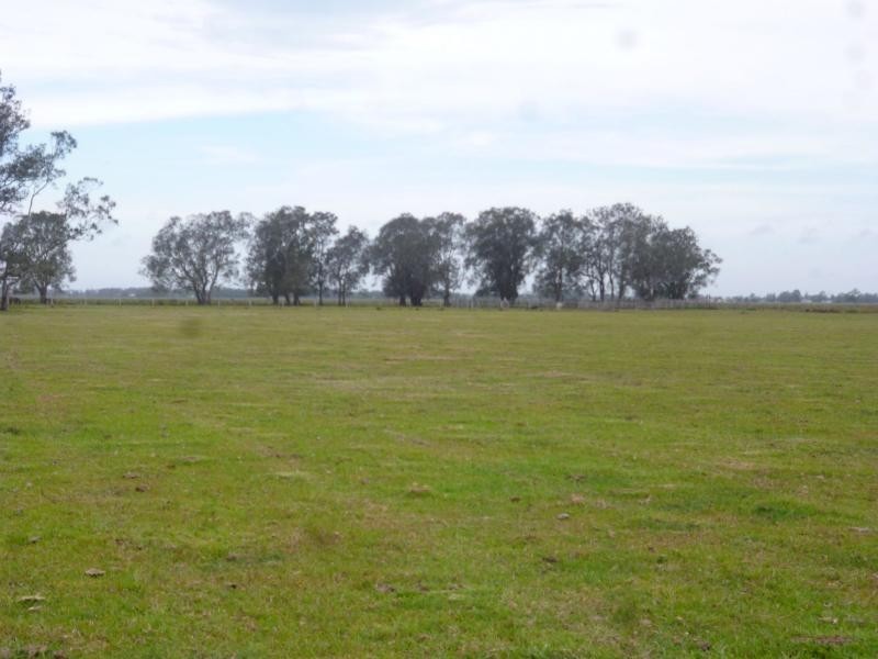 Bellimbopinni NSW 2440