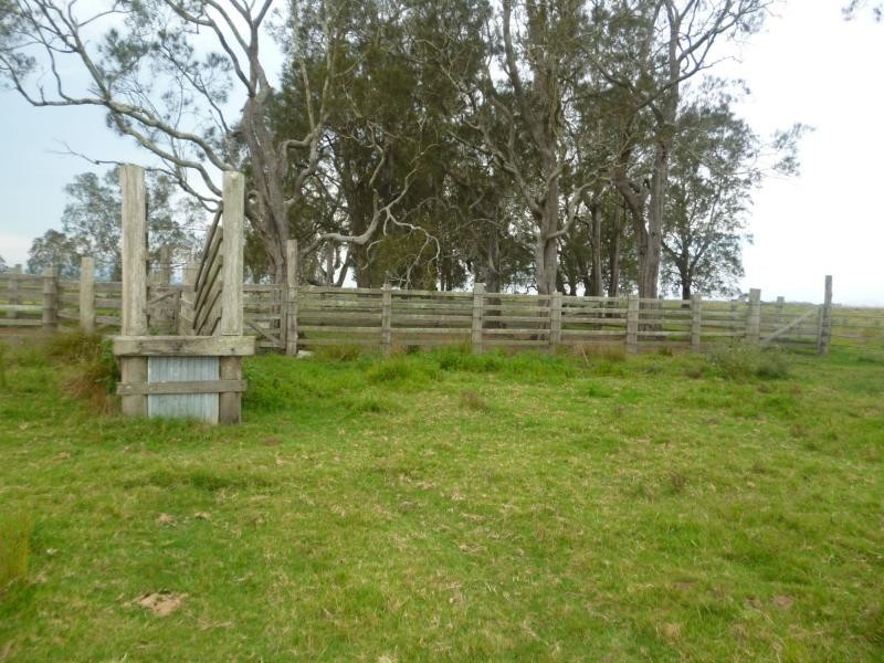 Bellimbopinni NSW 2440